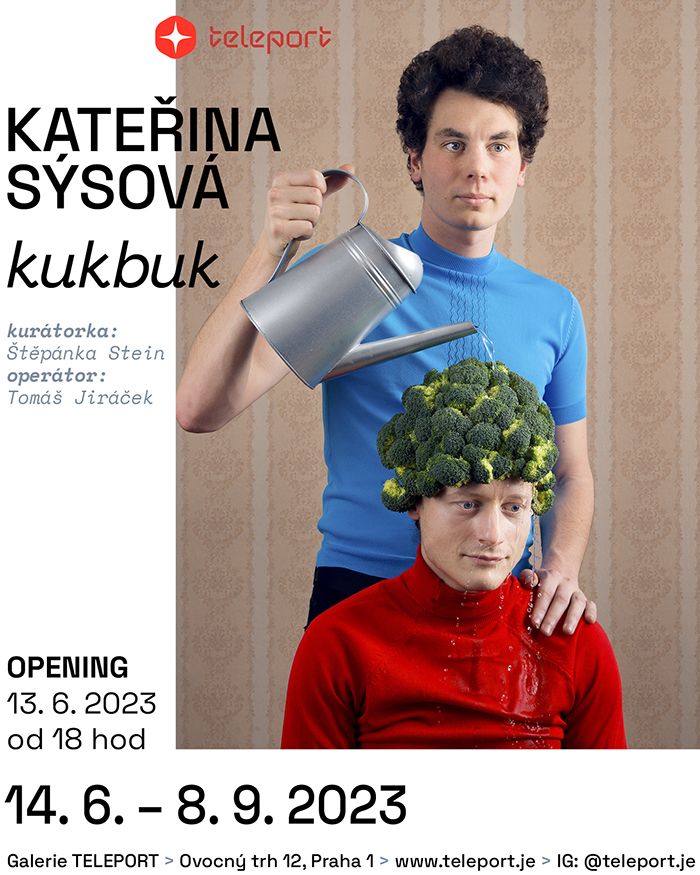 releportsysova